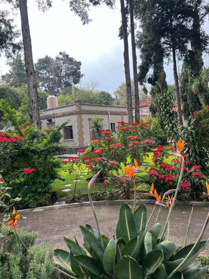Utopia Hotel Boutique Mexico-stad Buitenkant foto